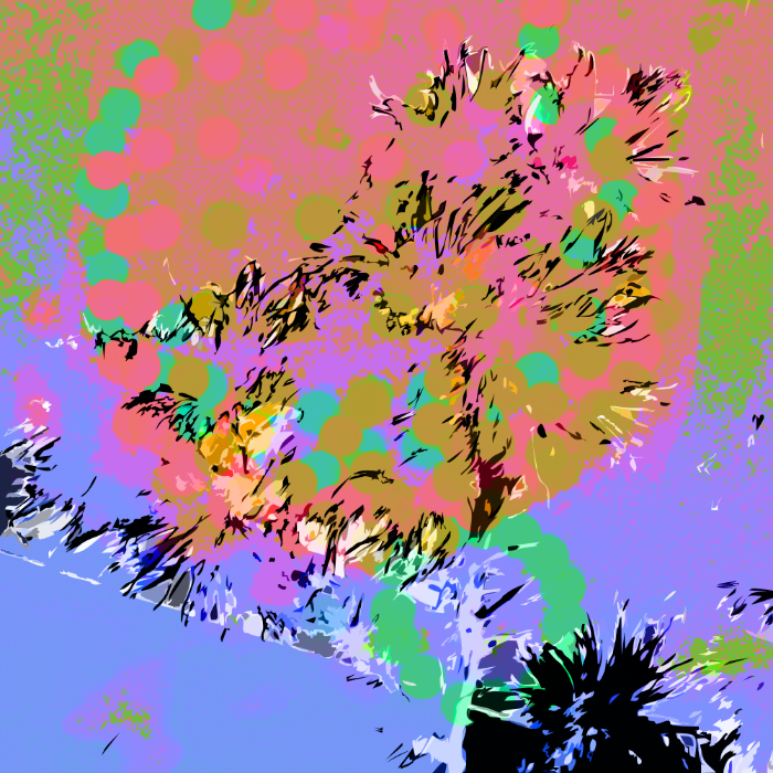 Coat of Many Colors