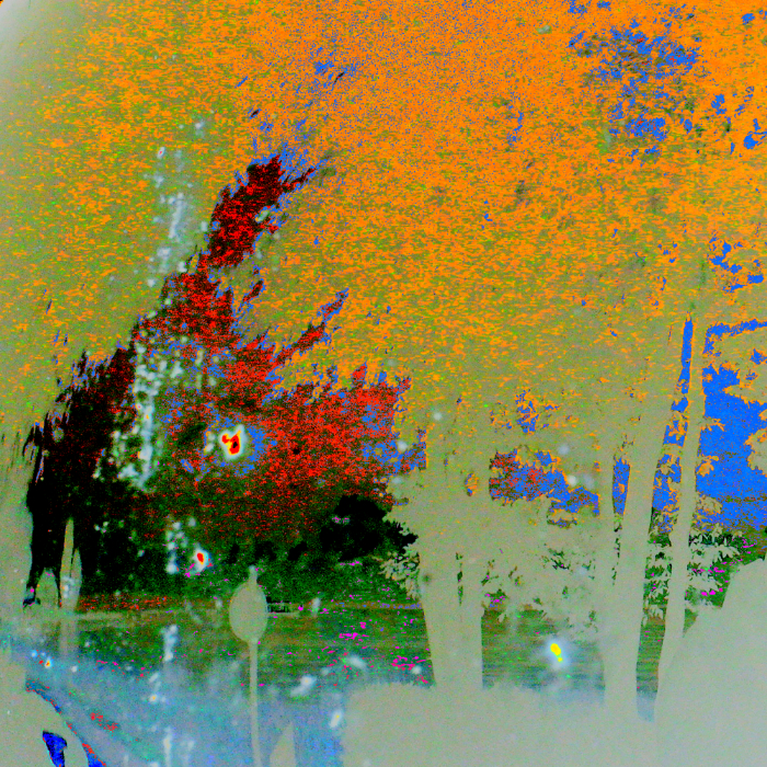 Autumn in New York